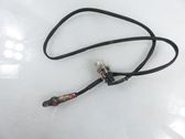 Lambda probe sensor