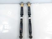 Rear shock absorber/damper