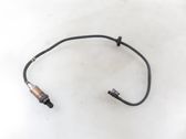 Sonde lambda