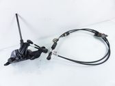 Gear shifter/selector