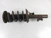 Amortiguador delantero con muelle espiral