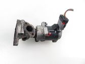 EGR valve
