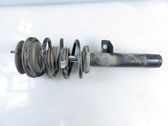 Front shock absorber with coil spring