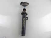Front shock absorber/damper