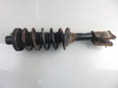 Rear shock absorber with coil spring