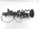 Front shock absorber with coil spring