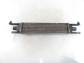 Intercooler radiator