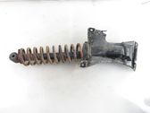 Rear shock absorber with coil spring