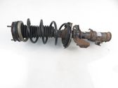 Front shock absorber with coil spring