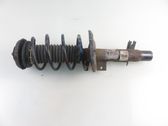 Front shock absorber with coil spring