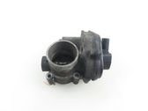 Throttle body valve