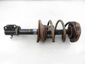 Front shock absorber with coil spring