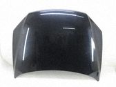 Motorhaube