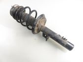 Front shock absorber with coil spring