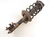 Front shock absorber with coil spring
