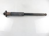 Rear shock absorber/damper