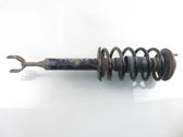 Front shock absorber with coil spring
