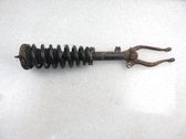 Front shock absorber with coil spring