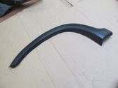 Fender trim (molding)