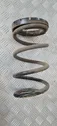 Rear coil spring