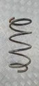 Front coil spring