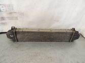 Intercooler radiator