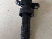 High voltage ignition coil