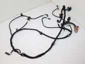 Front door wiring loom