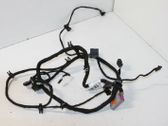Front door wiring loom