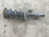 Front shock absorber with coil spring