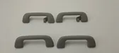 A set of handles for the ceiling