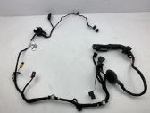 Front door wiring loom