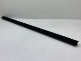 Rear door glass trim molding