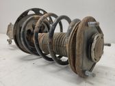 Front shock absorber with coil spring