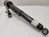 Rear shock absorber/damper