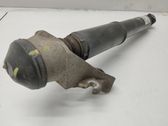 Rear shock absorber/damper