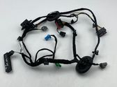 Other wiring loom