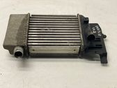 Radiador intercooler