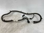 Other wiring loom