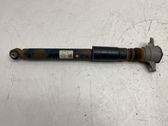 Rear shock absorber/damper