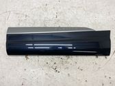 Rear door trim (molding)