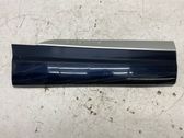 Rear door trim (molding)