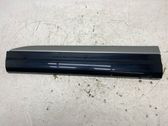 Front door trim (molding)
