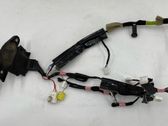 Front door wiring loom