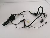 Front door wiring loom