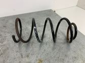 Front coil spring