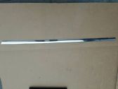 Rear door trim (molding)
