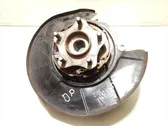 Rear wheel hub