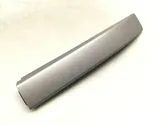 Roof trim bar molding cover