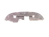 Front bumper skid plate/under tray